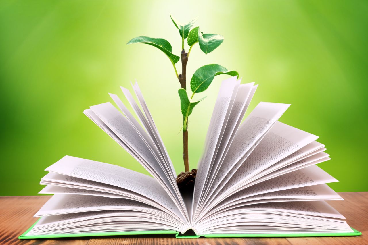 5 livros sobre sustentabilidade para conhecer e se inspirar